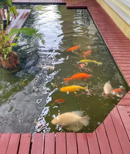 Fe'RICH, Phuket, 69 Mueang Phuket, Chalong, Muang Phuket, Phuket, 3 Bedrooms, 200 sqm, Single Detached House For Sale, by Prime Global Asset, 500203319 - DDproperty.com