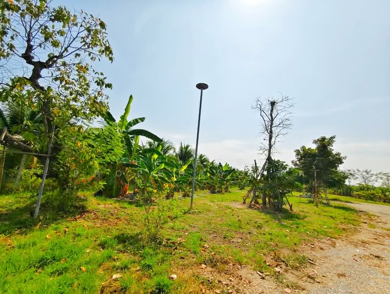 ขาย - บ้านเดี่ยวพร้อมที่ดินท่าม่วง กาญจนบุรี, กาญจนบุรี