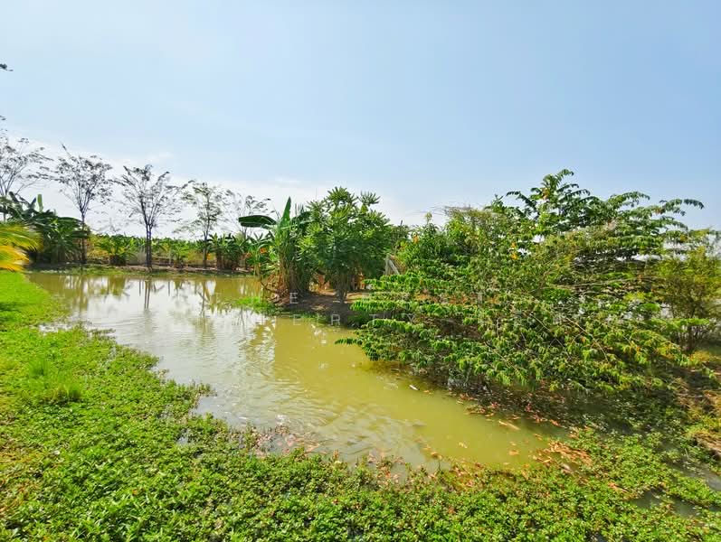 ขาย - บ้านเดี่ยวพร้อมที่ดินท่าม่วง กาญจนบุรี, กาญจนบุรี