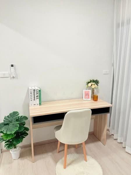 Plum Condo Sukhumvit 62, Bangkok, Sukhumvit 62, Bang Chak, Phra Khanong, Bangkok, 2 Bedrooms, 35 sqm, Condo For Rent, by Tanapat Jitwatcharakomol, 500203356 - DDproperty.com