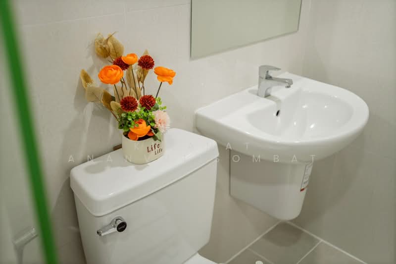 iCondo Sukhumvit 105, Bangkok, 20 Soi Lasalle 19,  Sukhumvit 105 Road, Bang Na, Bang Na, Bangkok, 1 Bedroom, 31 sqm, Condo For Sale, by Kulanat Ananvutisombat, 500203443 - DDproperty.com