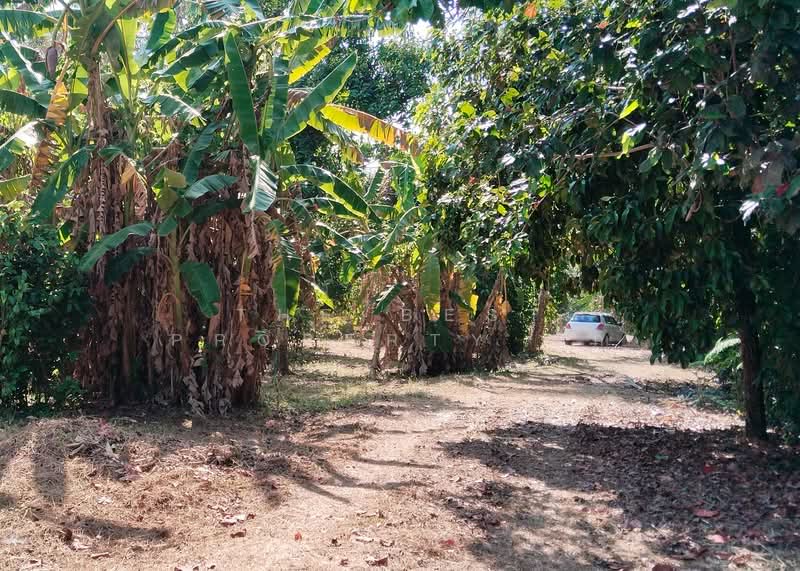 ที่ดินนาทุ่ง ชุมพร, ชุมพร, นาทุ่ง, เมืองชุมพร, ชุมพร, 8,084 ตร.ม., ที่ดิน ขาย, โดย The Best Property รัก, 500203453 - DDproperty.com