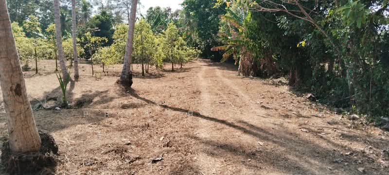 ที่ดินนาทุ่ง ชุมพร, Chumphon, Na Thung, Muang Chumphon, Chumphon, , 8,084 sqm, Land For Sale, by The Best Property รัก, 500203453 - DDproperty.com