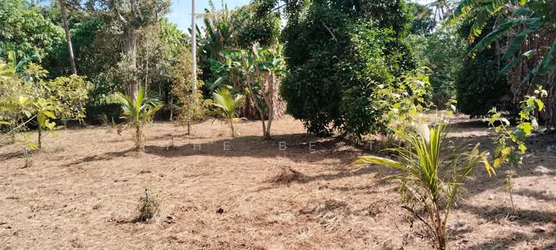 ที่ดินนาทุ่ง ชุมพร, Chumphon, Na Thung, Muang Chumphon, Chumphon, , 8,084 sqm, Land For Sale, by The Best Property รัก, 500203453 - DDproperty.com