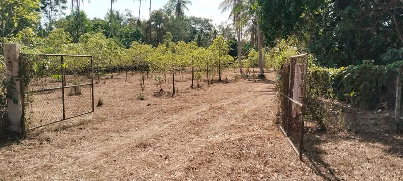 ที่ดินนาทุ่ง ชุมพร, Chumphon, Na Thung, Muang Chumphon, Chumphon, , 8,084 sqm, Land For Sale, by The Best Property รัก, 500203453 - DDproperty.com