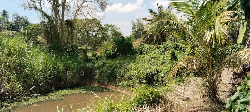 ที่ดินนาทุ่ง ชุมพร, Chumphon, Na Thung, Muang Chumphon, Chumphon, , 8,084 sqm, Land For Sale, by The Best Property รัก, 500203453 - DDproperty.com