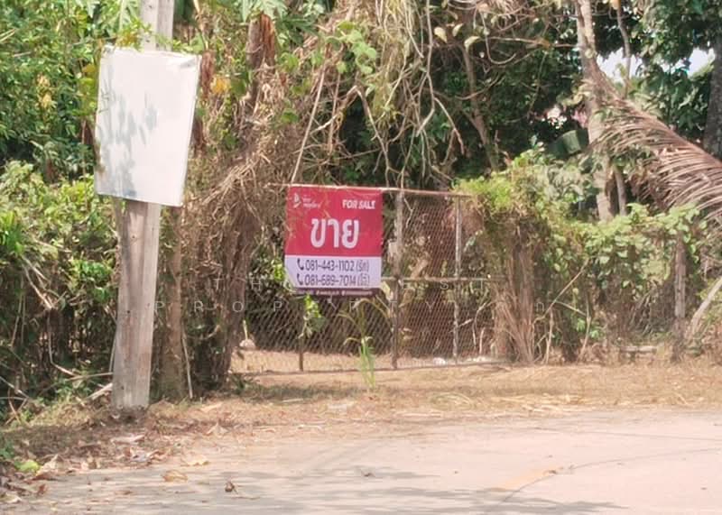 ที่ดินนาทุ่ง ชุมพร, Chumphon, Na Thung, Muang Chumphon, Chumphon, , 8,084 sqm, Land For Sale, by The Best Property รัก, 500203453 - DDproperty.com