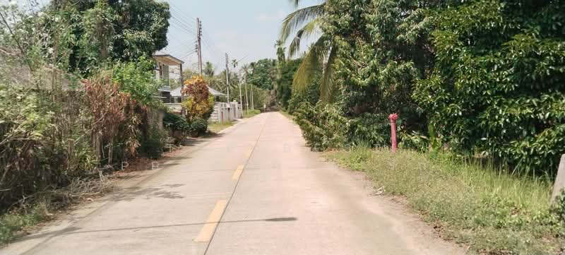ที่ดินนาทุ่ง ชุมพร, Chumphon, Na Thung, Muang Chumphon, Chumphon, , 8,084 sqm, Land For Sale, by The Best Property รัก, 500203453 - DDproperty.com