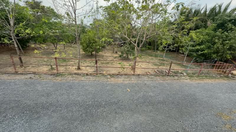 ขายที่ดินพร้อมสิ่งปลูกสร้าง ทำเลดี อำเภอคลองหลวง จังหวัดปทุมธานี, ปทุมธานี, คลองสอง, คลองหลวง, ปทุมธานี, 7,416 ตร.ม., ที่ดิน ขาย, โดย คุณ วิญากร, 500203455 - DDproperty.com