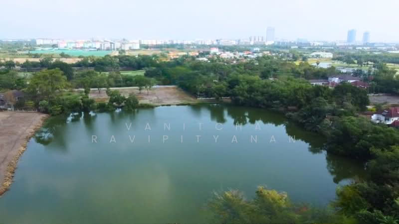 ขาย - pinehurst, ปทุมธานี