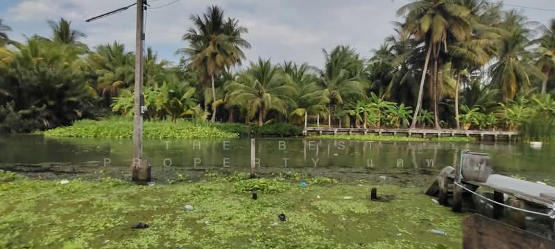 ที่ดินดำเนินสะดวก ราชบุรี, ราชบุรี, ตาหลวง, ดำเนินสะดวก, ราชบุรี, 1,024 ตร.ม., ที่ดิน ขาย, โดย The Best Property แคท, 500203473 - DDproperty.com