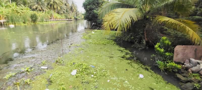 ที่ดินดำเนินสะดวก ราชบุรี, ราชบุรี, ตาหลวง, ดำเนินสะดวก, ราชบุรี, 1,024 ตร.ม., ที่ดิน ขาย, โดย The Best Property แคท, 500203473 - DDproperty.com