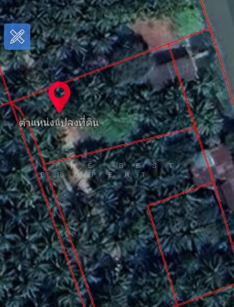 ที่ดินดำเนินสะดวก ราชบุรี, ราชบุรี, ตาหลวง, ดำเนินสะดวก, ราชบุรี, 1,024 ตร.ม., ที่ดิน ขาย, โดย The Best Property แคท, 500203473 - DDproperty.com