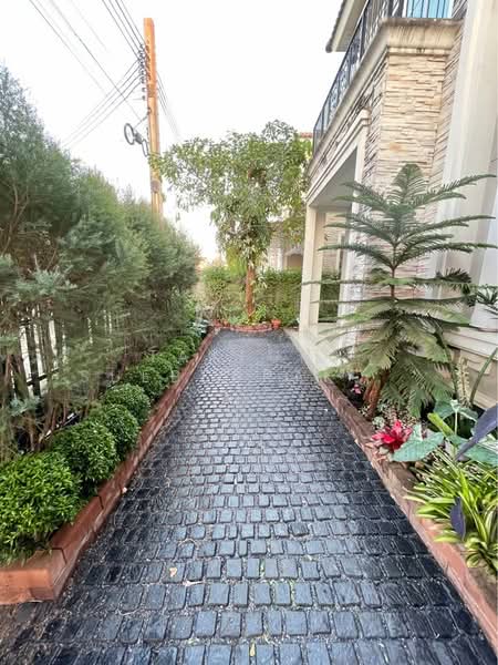 Grandio Ladprao-Kaset Nawamin, Bangkok, Soi Nawamin 42, Yeak 27, Khlong Kum, Bueng Kum, Bangkok, 4 Bedrooms, 182 sqm, Single Detached House For Rent, by Tayfun  Suebsarakham , 500203527 - DDproperty.com