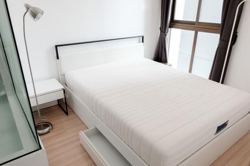 IDEO Mix Sukhumvit 103 : ไอดีโอ มิกซ์ สุขุมวิท 103, กรุงเทพ, ซอยอุดมสุข 3 ถนนสุขุมวิท, บางนา, กรุงเทพ, 31 ตร.ม., คอนโด ขาย, โดย Connex Property, 500203544 - DDproperty.com