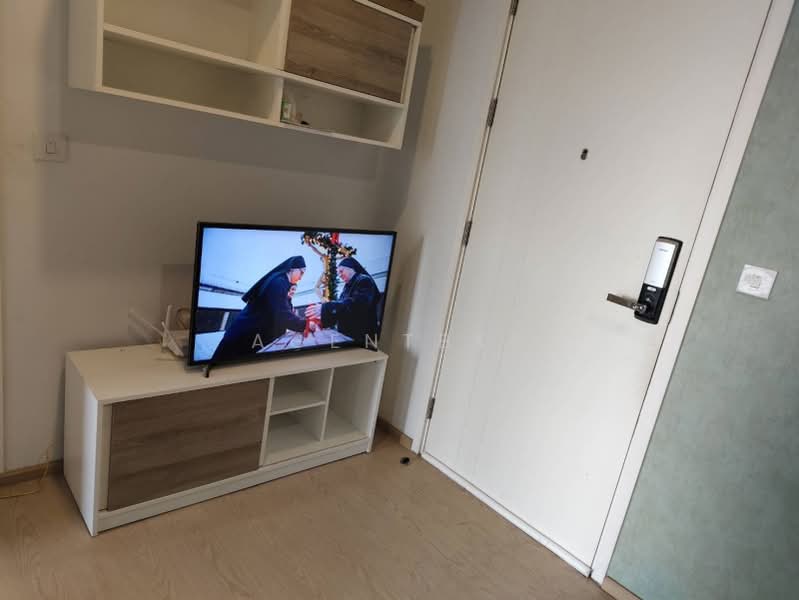 The Tree Sukhumvit 71-Ekamai, Bangkok, 1269 Sukhumvit 71 Road, Suan Luang, Suan Luang, Bangkok, 1 Bedroom, 31 sqm, Condo For Rent, by Agentbkk, 500203568 - DDproperty.com