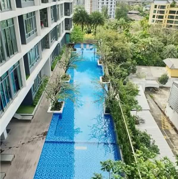 IDEO Blucove Sukhumvit : ไอดีโอ บลูโคฟ สุขุมวิท, กรุงเทพ, 2952 ถนนสุขุมวิท, บางนา, บางนา, กรุงเทพ, 27 ตร.ม., คอนโด ให้เช่า, โดย Sunitra Sachdev, 500203586 - DDproperty.com