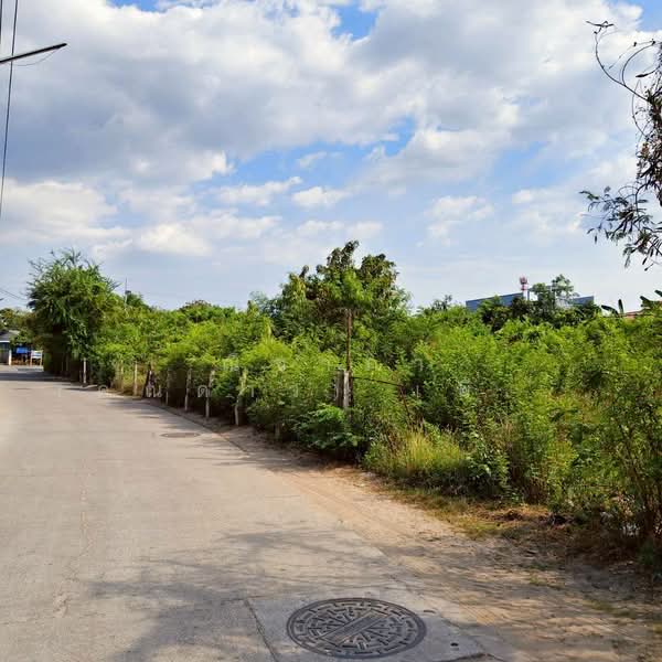 ใกล้ทะเลบางเสร่ ตำบลบางเสร่ อำเภอสัตหีบ จังหวัดชลบุรี, Chon Buri (Pattaya), ถนนซอยบางเสร่, Bang Sa-re, Sattahip, Chon Buri (Pattaya), , 1,700 sqm, Land For Sale, by Nichapa Phiachan, 500203634 - DDproperty.com