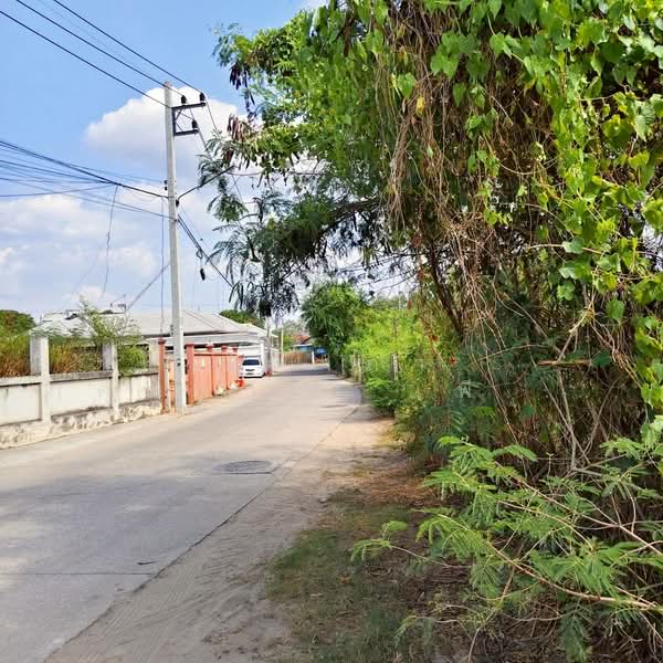 ใกล้ทะเลบางเสร่ ตำบลบางเสร่ อำเภอสัตหีบ จังหวัดชลบุรี, Chon Buri (Pattaya), ถนนซอยบางเสร่, Bang Sa-re, Sattahip, Chon Buri (Pattaya), , 1,700 sqm, Land For Sale, by Nichapa Phiachan, 500203634 - DDproperty.com