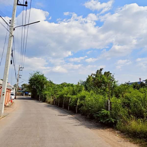 ใกล้ทะเลบางเสร่ ตำบลบางเสร่ อำเภอสัตหีบ จังหวัดชลบุรี, Chon Buri (Pattaya), ถนนซอยบางเสร่, Bang Sa-re, Sattahip, Chon Buri (Pattaya), , 1,700 sqm, Land For Sale, by Nichapa Phiachan, 500203634 - DDproperty.com