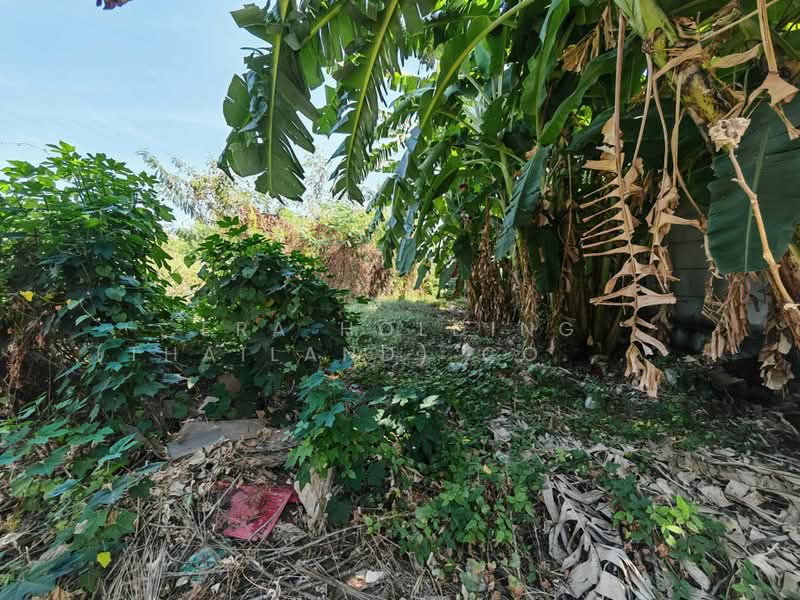 For Rent - ถมแล้ว พร้อมใช้งาน สามารถพัฒนาต่อได้ทันที, Nonthaburi