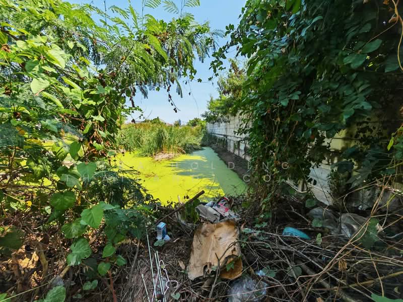 For Rent - ถมแล้ว พร้อมใช้งาน สามารถพัฒนาต่อได้ทันที, Nonthaburi