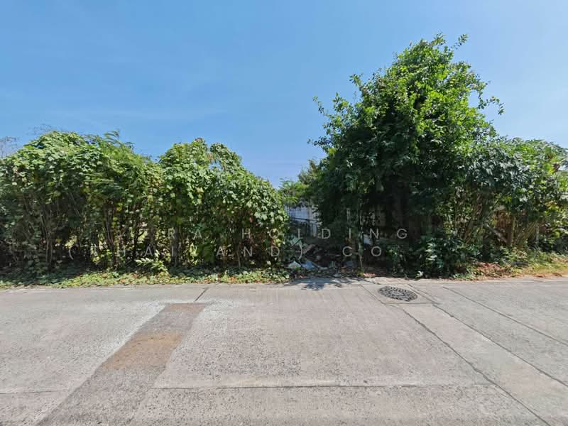 For Rent - ถมแล้ว พร้อมใช้งาน สามารถพัฒนาต่อได้ทันที, Nonthaburi