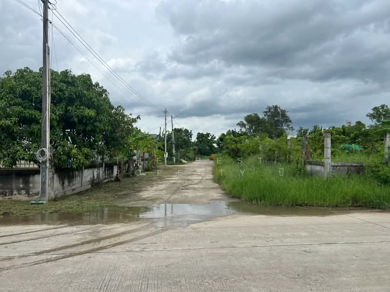 ที่ดินพนัสนิคม ชลบุรี, Chon Buri (Pattaya), Rai Lak Thong, Phanat Nikhom, Chon Buri (Pattaya), , 768 sqm, Land For Sale, by The Best Property บี, 500203650 - DDproperty.com
