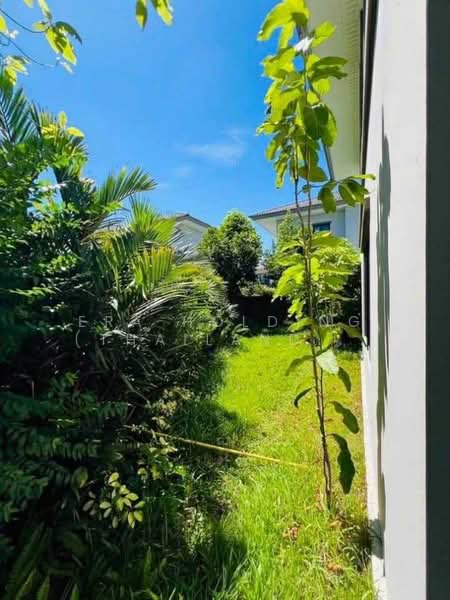 Passorn Chaengwattana-Chaiyaphruek, Nonthaburi, Bang Tanai, Pak Kret, Nonthaburi, 3 Bedrooms, 240 sqm, Single Detached House For Sale, by ERA Holding (Thailand) Co., Ltd., 500203722 - DDproperty.com
