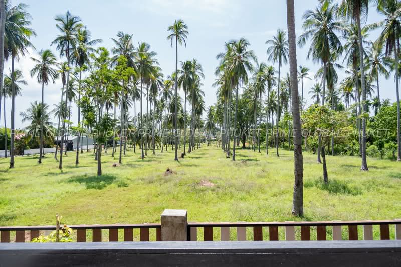 ให้เช่า - House Rawai, ภูเก็ต