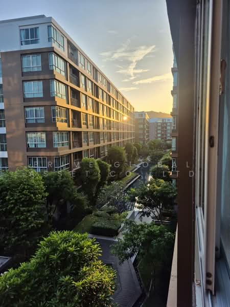 Dcondo Creek Phuket, Phuket, 81 Moo 2, Kathu, Kathu, Phuket, 1 Bedroom, 30 sqm, Condo For Rent, by Prime Global Asset Co.,Ltd, 500203783 - DDproperty.com