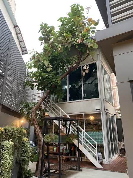 Narasiri Hideaway, Bangkok, Soi Nawamin 111, Nawamin, Bueng Kum, Bangkok, 3 Bedrooms, 282 sqm, Single Detached House For Sale, by Eastblue Horizon, 500203816 - DDproperty.com