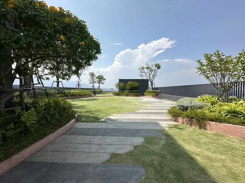 The Base Height-Chiang Mai : เดอะ เบส ไฮท์-เชียงใหม่, เชียงใหม่, วัดเกต, เมืองเชียงใหม่, เชียงใหม่, 34 ตร.ม., คอนโด ให้เช่า, โดย Chitlada Kantarak, 500203857 - DDproperty.com