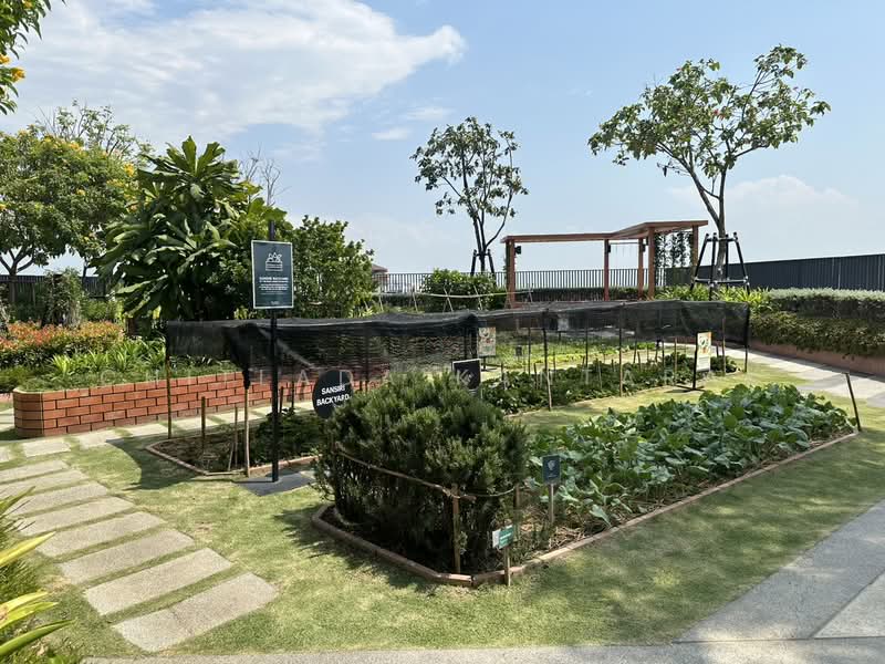 The Base Height-Chiang Mai, Chiang Mai, Wat Khet, Muang Chiang Mai, Chiang Mai, 1 Bedroom, 34 sqm, Condo For Rent, by Chitlada Kantarak, 500203857 - DDproperty.com