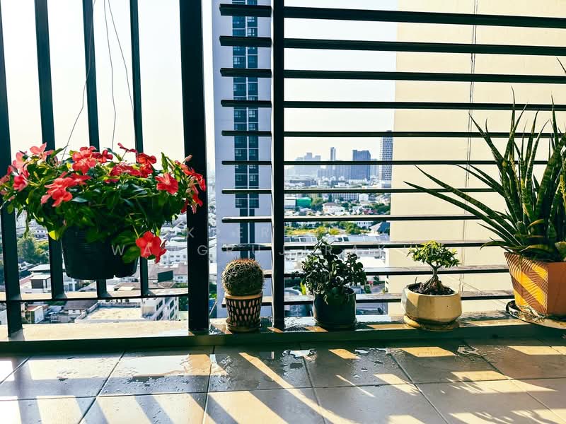 Blocs 77, Bangkok, 291 On Nut Rd, Phra Kanong Nua, Watthana, Bangkok, 1 Bedroom, 40 sqm, Condo For Rent, by Keerati  Wangrujirakul, 500203903 - DDproperty.com