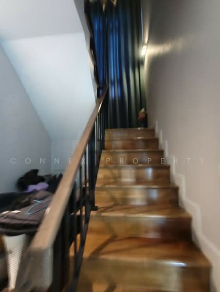 Venue Flow Tiwanon Rangsit, Pathum Thani, 109 Tiwanon Road, Bang Kadi, Muang Pathum Thani, Pathum Thani, 4 Bedrooms, 190 sqm, Single Detached House For Sale, by Connex Property, 500204053 - DDproperty.com