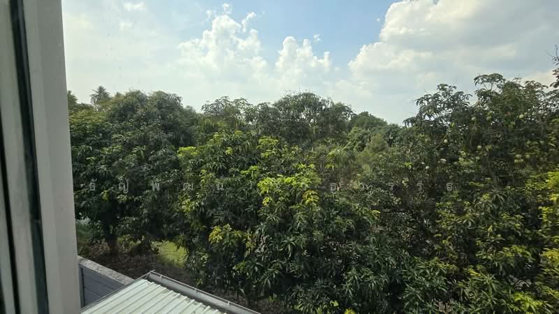 Centro Ratchapruek, Nonthaburi, Soi Bang Len, Bang Yai, Bang Yai, Nonthaburi, 4 Bedrooms, 175 sqm, Single Detached House For Sale, by Thanyaphat Wiwitawan, 500204071 - DDproperty.com