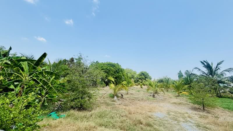 ถนนสุขสวัสดิ์, Bangkok, Bangmot, Thung Khru, Bangkok, , 17,272 sqm, Land For Sale, by กษิกาญ ชุณหมณี, 500204126 - DDproperty.com