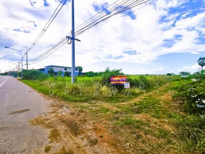 ขาย - ขายที่ดินชัยนาท 25-3-21 ไร่, ชัยนาท