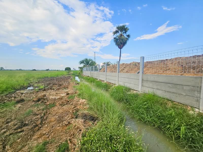 ขาย - ขายที่ดินชัยนาท 25-3-21 ไร่, ชัยนาท