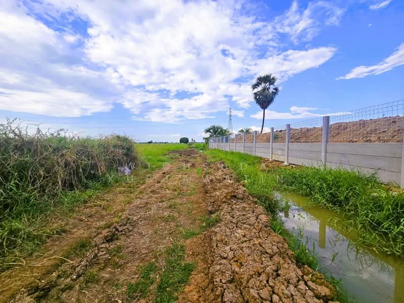 ขาย - ขายที่ดินชัยนาท 25-3-21 ไร่, ชัยนาท