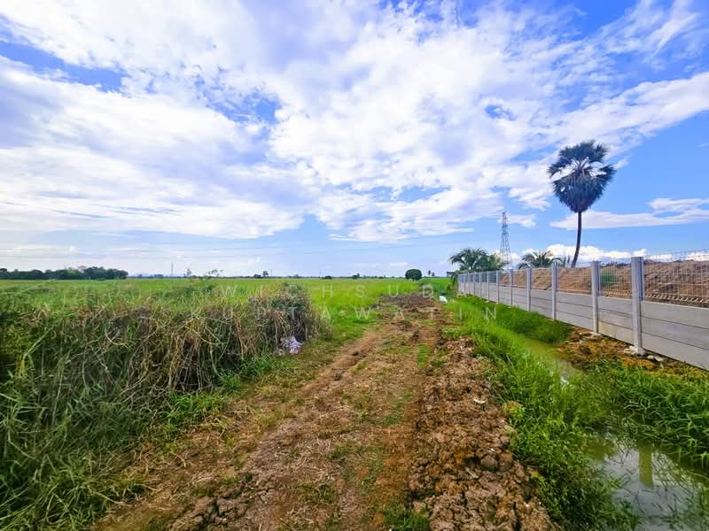 ขายที่ดินชัยนาท 25-3-21 ไร่, Chai Nat, ถนนทางหลวงแผ่นดินหมายเลข3212, Khung Samphao, Manorom, Chai Nat, , 41,284 sqm, Land For Sale, by Wichsuda Kuptawatin, 500204236 - DDproperty.com