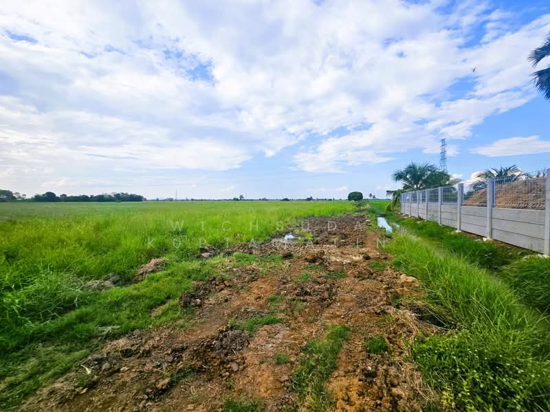 ขาย - ขายที่ดินชัยนาท 25-3-21 ไร่, ชัยนาท