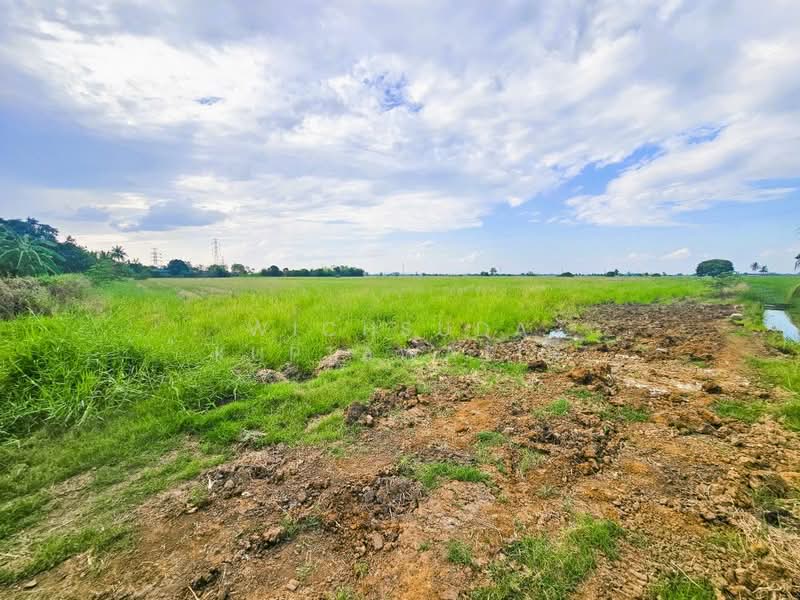 ขายที่ดินชัยนาท 25-3-21 ไร่, Chai Nat, ถนนทางหลวงแผ่นดินหมายเลข3212, Khung Samphao, Manorom, Chai Nat, , 41,284 sqm, Land For Sale, by Wichsuda Kuptawatin, 500204236 - DDproperty.com