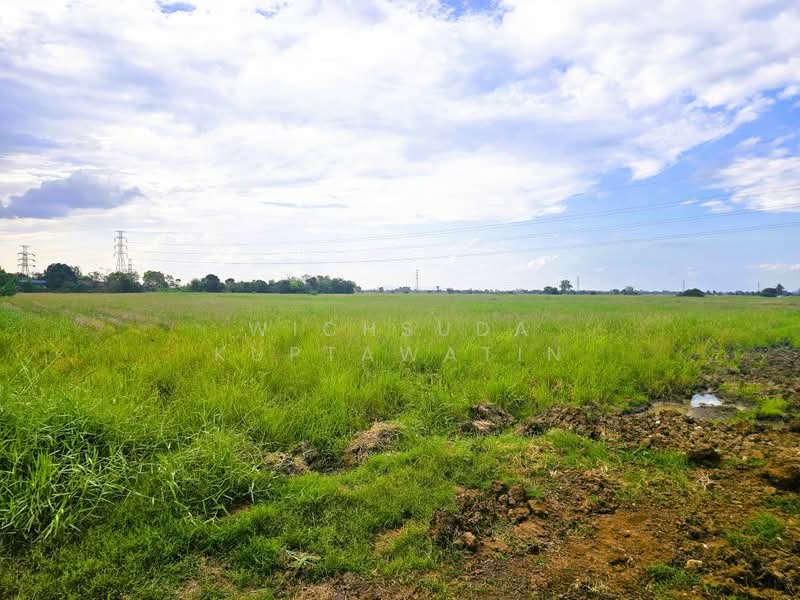 ขาย - ขายที่ดินชัยนาท 25-3-21 ไร่, ชัยนาท