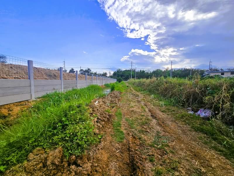 ขาย - ขายที่ดินชัยนาท 25-3-21 ไร่, ชัยนาท