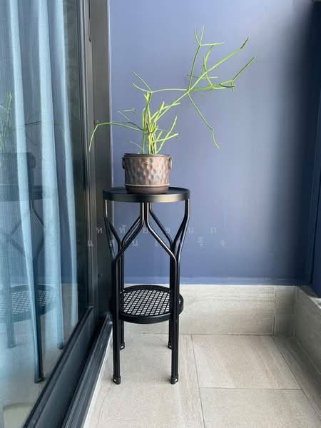 One9Five Asoke-Rama 9, Bangkok, 195 Soi Rama 9 Soi 5, Huai Khwang, Huai Khwang, Bangkok, 1 Bedroom, 27 sqm, Condo For Rent, by หทัยชนก แสนเสร็จ, 500204369 - DDproperty.com