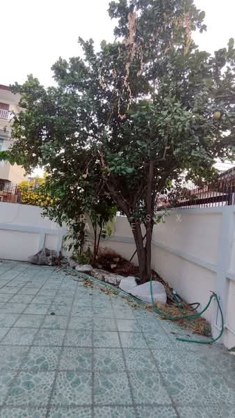 ให้เช่าบ้านเดี่ยว 3ชั้น 67ตรว., กรุงเทพ, สามเสนนอก, ห้วยขวาง, กรุงเทพ, 360 ตร.ม., บ้านเดี่ยว ให้เช่า, โดย Forty-Six Real Estate Group, 500204412 - DDproperty.com