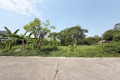 ขาย - ขายที่ดิน 100 ตรว. ซอยนวมินทร์ 74 ถนนประเสริฐมนูกิจ รูปแปลงสวย ติดถนน, กรุงเทพ