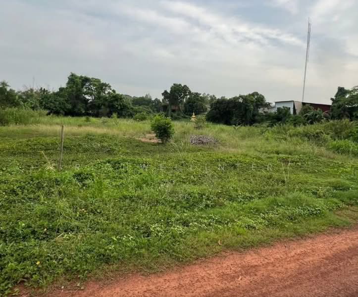 ขาย - ขายที่ดินโคกไม้ลาย 1 ไร่ ใกล้ถนนสุวรรณศรสายเก่า3649-100เมตร อ.เมืองปราจีนบุรี, ปราจีนบุรี